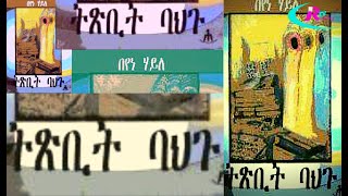 NEW ERITREAN RAHENA LIBRARY BOOK REVIEWS 2021 quotTSBIT BAHGUquot BEYENE HAILE ትጽቢት ባህጉ በየነ ሃይለ [upl. by Naashar]