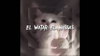 El Watar El Hassas  Sherine arab song  speed up  jxvnav [upl. by Etnahc302]