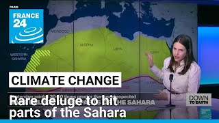 Down to Earth Rare deluge to hit parts of the Sahara • FRANCE 24 English [upl. by Payton]