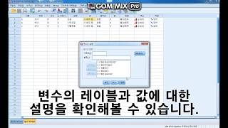 SPSS 강의  신뢰도 분석 [upl. by Verdha]