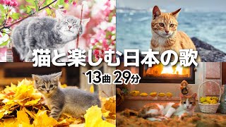 猫と楽しむ癒しの日本の歌【全13曲29分】 [upl. by Tsnre]