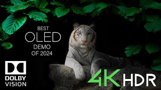 4K OLED TV TEST 2024  Dolby Vision  60FPS HDR Demo [upl. by Adriena]