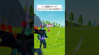 この海外でバズってる動画ってホンマなん？検証してみた！ フォートナイト fortnite 小技 小ネタ [upl. by Lowery]