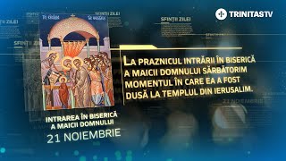 Intrarea în Biserică a Maicii Domnului – 21 noiembrie Sinaxar [upl. by Landmeier]