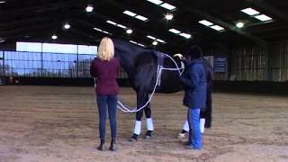 Official Pessoa Training Aid Video [upl. by Marcia]