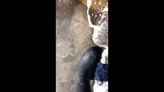 Pretreating Food Grease on Concrete with Enviro Bio Cleaner  EBC [upl. by Onaicnop620]