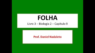 Videoaula  Biologia  Folha  Botânica  2º ano  Ensino Médio [upl. by Dorolice]