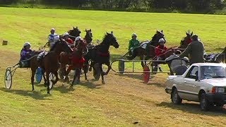 CAERSWS HARNESS RACES 2004 GRADE B FINAL [upl. by Annahsal]