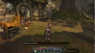 Divinity 2 The Dragon Knight Saga Gameplay [upl. by Llennehc]