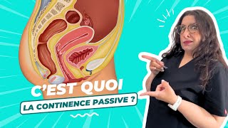 Personne ne parle de ça pour stopper les fuites urinaires [upl. by Adnuhsal]