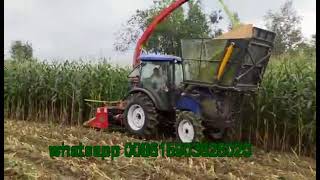 Independent Corn Silage Forage Harvester Maize Chopper fitted with Tractors [upl. by Reld]