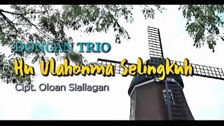 KAROKE LAGU HU ULAHON MA SELINGKUH DONGANS TRIO ASLI KEREN [upl. by Nitsirt728]