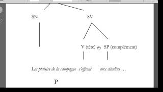 Catégorie grammaticale fonction sémantique valence syntagme position [upl. by Oreste]