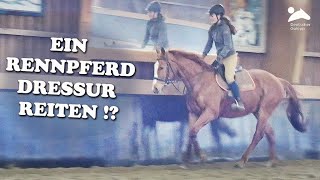 Ein Rennpferd Dressur reiten Zu Besuch auf Gestüt Idee [upl. by Fin]