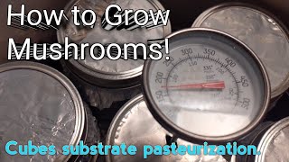 How to Grow mushrooms Cube substrate methodrecipe [upl. by Gonzalez302]