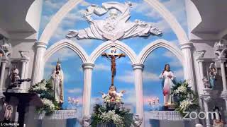 700 PM April 29th 2024 Divine Mercy Chaplets  Rosaries  THE way to Heaven [upl. by Kerat]