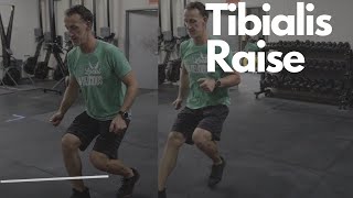 Tibialis Raise  How to do it and why it is important [upl. by Cormier]