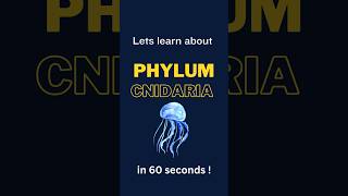 Phylum Cnidaria Characteristics  shorts biology biologyconcept AnimalKingdom 11thclassbiology [upl. by Daria633]