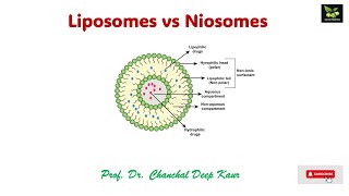 Liposomes vs Niosomessaiedupharmaa ndds [upl. by Madlen460]