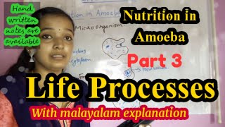 Life Processes Class 10 Science BiologyNutrition in AmoebaChapter 6 CBSE NCERT [upl. by Fahey761]