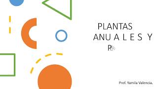 Plantas anuales y plantas perennes [upl. by Lebaron]