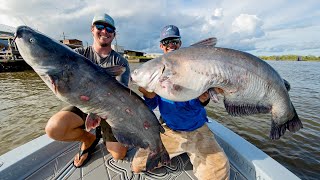 Monster Mississippi River Catfish [upl. by Avalsorim]