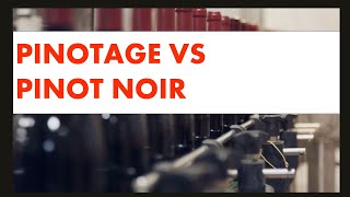 Pinotage vs Pinot Noir Whats the Difference [upl. by Georgianne200]