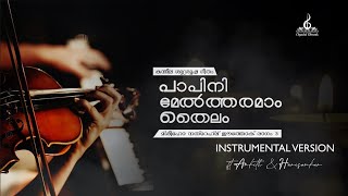 Papini Meltharamam Thailam  Instrumental Version  ftAnkithHarisankar  പാപിനി മേൽത്തരമാം തൈലം [upl. by Burtie902]