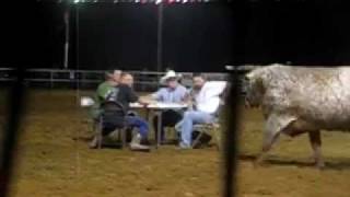 Whitesboro Rodeo 2011  Cowboy Poker Texas Rodeo [upl. by Aowda]