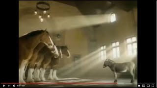 Budweiser Clydesdales Commercial Compilation [upl. by Enreval]