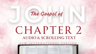 The Book of John  Chapter 2  NIV [upl. by Raoul]