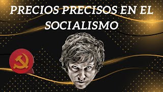 CÁLCULO ECONÓMICO en el sistema SOCIALISTA o COMUNISTA  Javier Milei [upl. by Lenni]