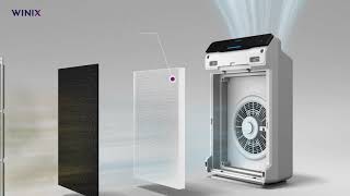 Air Purifier WINIX Zero [upl. by Otecina]