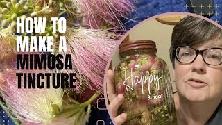 Ep 185 Making A Mimosa Flower Tincture at Home StepbyStep Guide [upl. by Sgninnej]