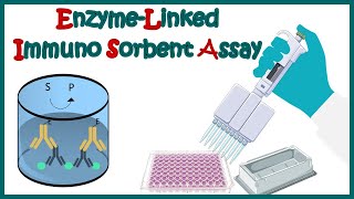 ELISA  Enzyme linked immonosorbent assay  ELISA test  Types of ELISA  Direct and Indirect ELISA [upl. by Reckford]