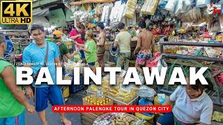 4K AMAZING Experience Balintawak Wet Market Quezon City  Afternoon Palengke Tour 2024 [upl. by Atnomed]