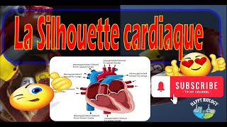 La Silhouette cardiaque [upl. by Cirenoj]