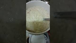 Oatmeal healthy breakfast ideas breakfastideas viralvideo oatsrecipe [upl. by Alta913]