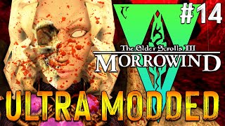 Lets Play Modded Morrowind  The Adventures Of Qa Dojetta  14 [upl. by Elimac]