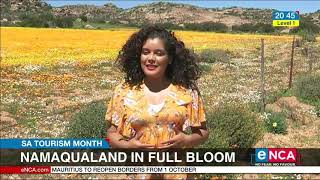 Namaqualand in full bloom [upl. by Inerney510]