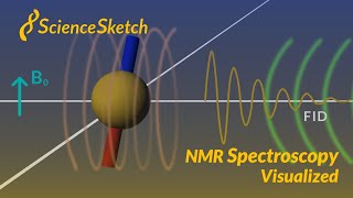 NMR spectroscopy visualized [upl. by Joelie176]