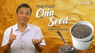 Manfaat CHIA SEED amp Efek Sampingnya [upl. by Eelegna]