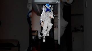 【Fursuit Dance】 Sanzugawa 三途川丶丶丶  SEVENTEEN SUPER [upl. by Selia]