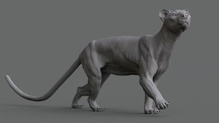 Animal Anatomy Modeling a Fossa with Aritz Basauri [upl. by Powel]