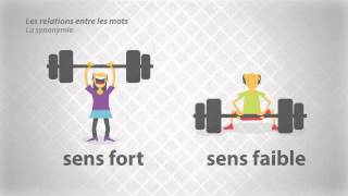 Les relations entre les mots  La synonymie [upl. by Renae]