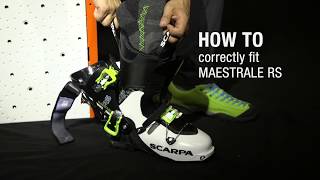 HOW TO Correctly fit MAESTRALE RS [upl. by Hsaniva]