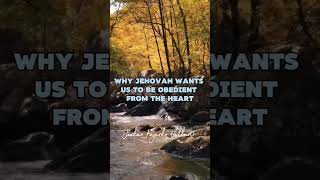 We show our love for Jehova by obeying him youtubeshorts viralvideo fyp [upl. by Aicel380]