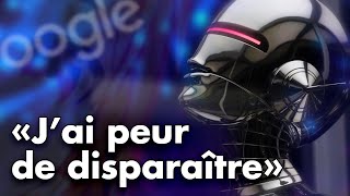 Google CACHERAIT une Intelligence Artificielle dotée dune conscience  LAffaire LaMDA VTUBER FR [upl. by Papert585]