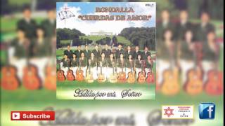 Rondalla Cuerdas de Amor Full disco [upl. by Morel]