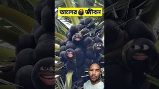 তালের জীবনে 😂  funnyvideo comedyshorts [upl. by Itraa]